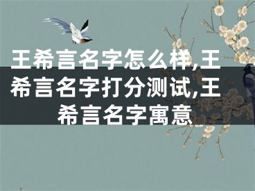 王希言名字怎么样,王希言名字打分测试,王希言名字寓意