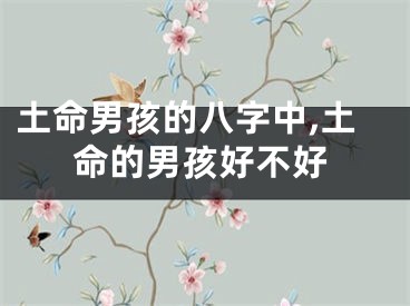 土命男孩的八字中,土命的男孩好不好