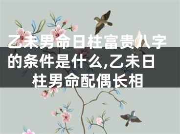 乙未男命日柱富贵八字的条件是什么,乙未日柱男命配偶长相