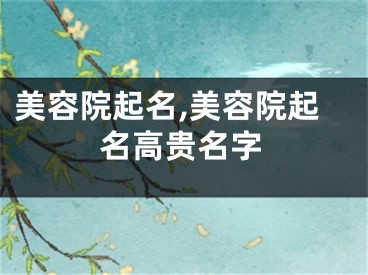 美容院起名,美容院起名高贵名字