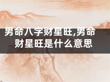 男命八字财星旺,男命财星旺是什么意思