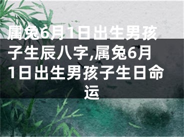 属兔6月1日出生男孩子生辰八字,属兔6月1日出生男孩子生日命运
