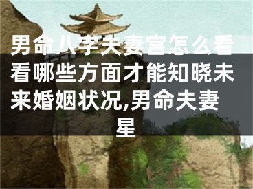 男命八字夫妻宫怎么看看哪些方面才能知晓未来婚姻状况,男命夫妻星