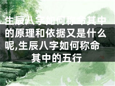 生辰八字如何称命其中的原理和依据又是什么呢,生辰八字如何称命其中的五行