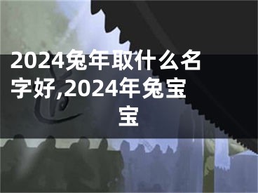 2024兔年取什么名字好,2024年兔宝宝