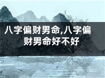 八字偏财男命,八字偏财男命好不好