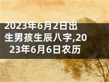 2023年6月2日出生男孩生辰八字,2023年6月6日农历