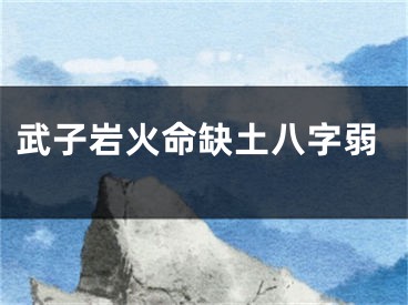 武子岩火命缺土八字弱
