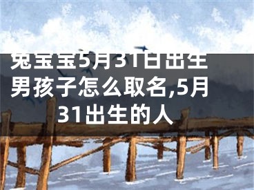 兔宝宝5月31日出生男孩子怎么取名,5月31出生的人