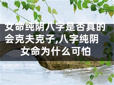 女命纯阴八字是否真的会克夫克子,八字纯阴女命为什么可怕