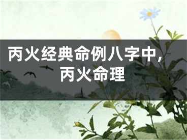 丙火经典命例八字中,丙火命理