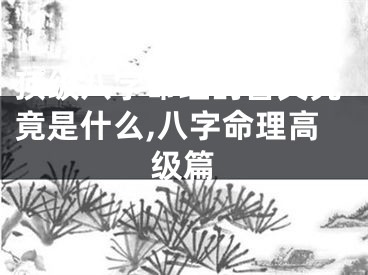 顶级八字命理的含义究竟是什么,八字命理高级篇