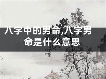 八字中的男命,八字男命是什么意思