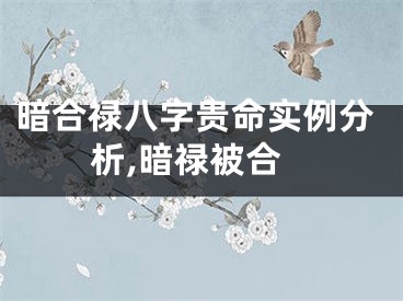 暗合禄八字贵命实例分析,暗禄被合