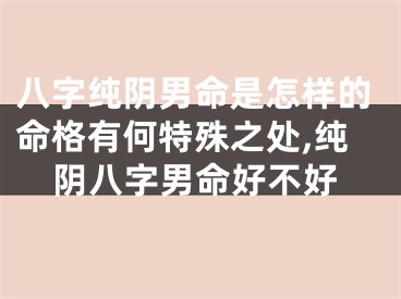 八字纯阴男命是怎样的命格有何特殊之处,纯阴八字男命好不好