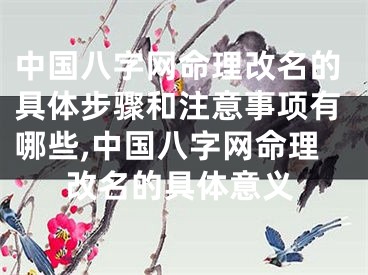 中国八字网命理改名的具体步骤和注意事项有哪些,中国八字网命理改名的具体意义