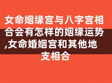 女命姻缘宫与八字宫相合会有怎样的姻缘运势,女命婚姻宫和其他地支相合