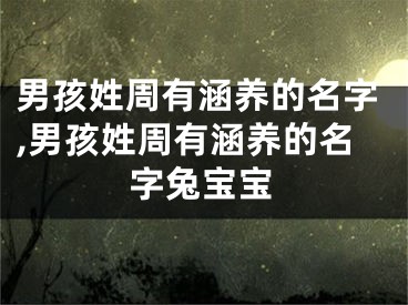 男孩姓周有涵养的名字,男孩姓周有涵养的名字兔宝宝