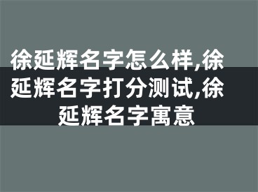 徐延辉名字怎么样,徐延辉名字打分测试,徐延辉名字寓意