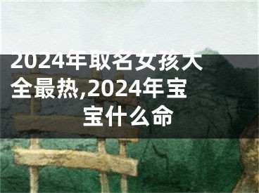 2024年取名女孩大全最热,2024年宝宝什么命