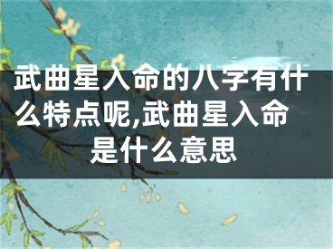 武曲星入命的八字有什么特点呢,武曲星入命是什么意思