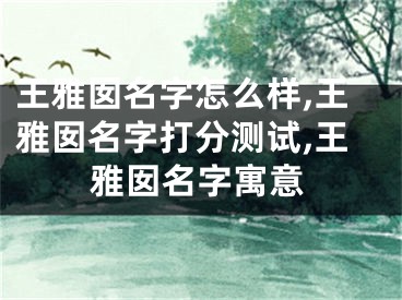 王雅囡名字怎么样,王雅囡名字打分测试,王雅囡名字寓意