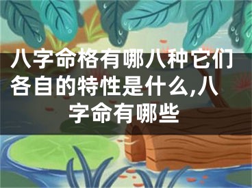 八字命格有哪八种它们各自的特性是什么,八字命有哪些