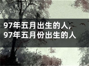 97年五月出生的人,97年五月份出生的人