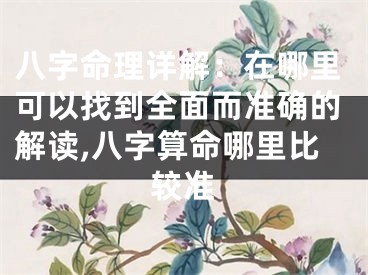 八字命理详解：在哪里可以找到全面而准确的解读,八字算命哪里比较准