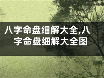 八字命盘细解大全,八字命盘细解大全图