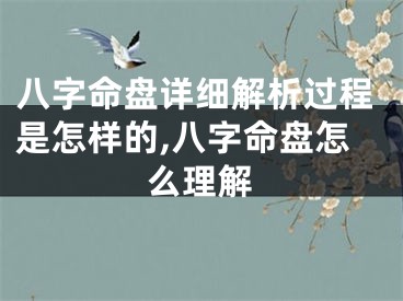 八字命盘详细解析过程是怎样的,八字命盘怎么理解