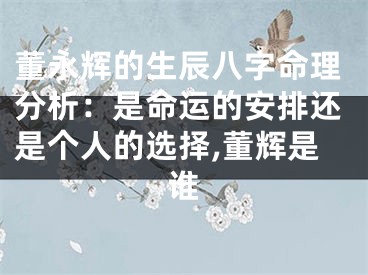 董永辉的生辰八字命理分析：是命运的安排还是个人的选择,董辉是谁