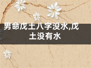男命戊土八字没水,戊土没有水