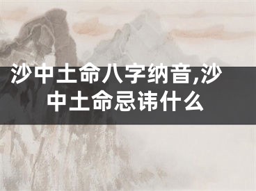 沙中土命八字纳音,沙中土命忌讳什么