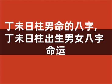 丁未日柱男命的八字,丁未日柱出生男女八字命运