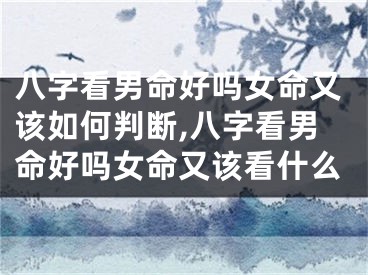 八字看男命好吗女命又该如何判断,八字看男命好吗女命又该看什么