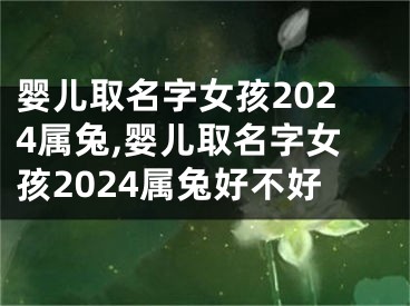 婴儿取名字女孩2024属兔,婴儿取名字女孩2024属兔好不好