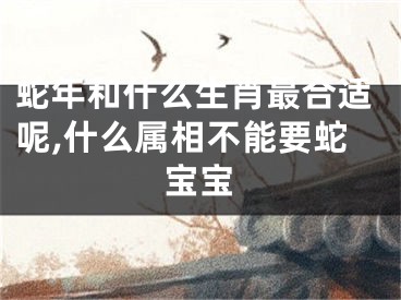 蛇年和什么生肖最合适呢,什么属相不能要蛇宝宝