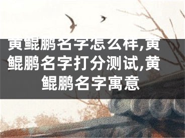 黄鲲鹏名字怎么样,黄鲲鹏名字打分测试,黄鲲鹏名字寓意