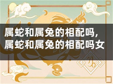 属蛇和属兔的相配吗,属蛇和属兔的相配吗女