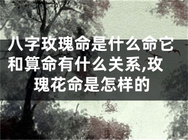 八字玫瑰命是什么命它和算命有什么关系,玫瑰花命是怎样的