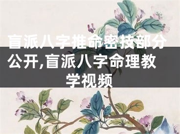 盲派八字推命密技部分公开,盲派八字命理教学视频