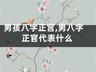 男孩八字正宫,男八字正官代表什么