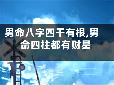 男命八字四干有根,男命四柱都有财星