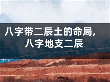 八字带二辰土的命局,八字地支二辰