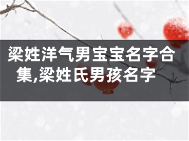 梁姓洋气男宝宝名字合集,梁姓氏男孩名字