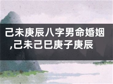 己未庚辰八字男命婚姻,己未己巳庚子庚辰