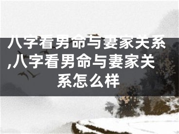 八字看男命与妻家关系,八字看男命与妻家关系怎么样