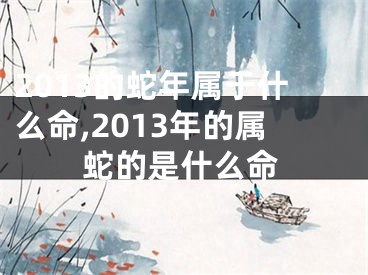 2013的蛇年属于什么命,2013年的属蛇的是什么命