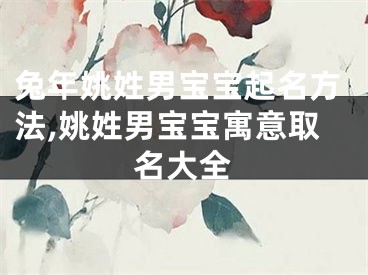 兔年姚姓男宝宝起名方法,姚姓男宝宝寓意取名大全